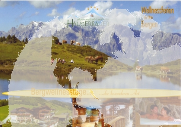 Dorfgastein - A 2009 95 001 ●